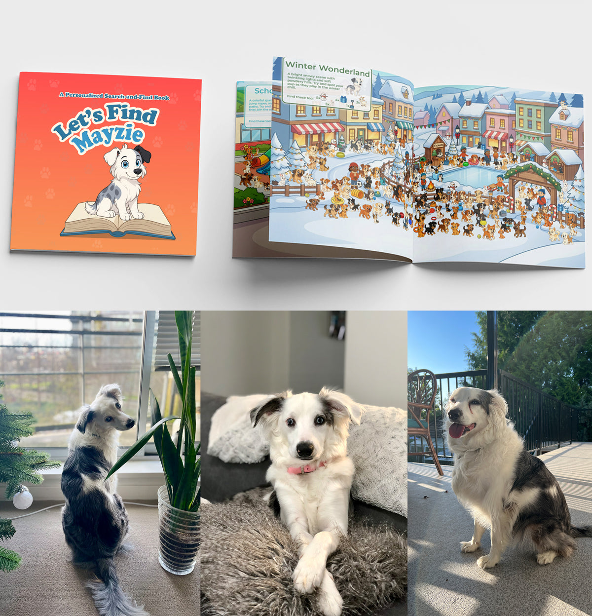 Three example dog photos showing the face, body shape and distinctive markings used to create a LookiBooki portrait.